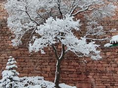 -北岳恒山