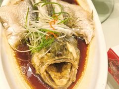 -燕郊烧鸽子(酷车小镇店)