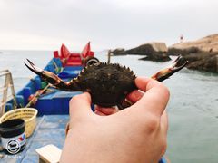 -东极岛景区