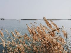 -苏州太湖湖滨国家湿地公园