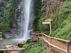 -莫里热带雨林景区
