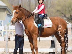 -月河湾马术俱乐部(朝阳店)