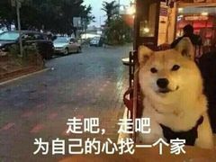 -TheRink大零溜冰场(IFS国金中心店)