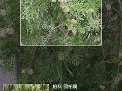 -北京凤凰岭