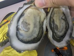 -HIHE Bistro·Oyster Bar(华熙live店)