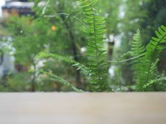 -知亘茶食