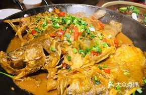 Yuanjiang Spiny Grouper