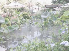 -墨居上隐·院子里火锅(峨眉店)