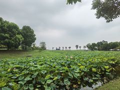 -滆湖低碳生态公园