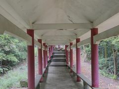 -天鹿湖森林公园