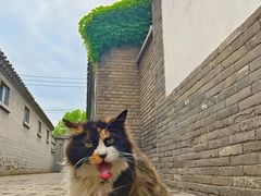 -北京鲁迅博物馆(北京新文化运动纪念馆鲁博馆区)