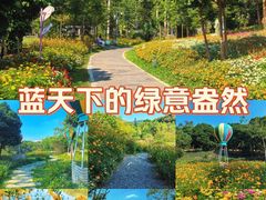 -云溪植物园