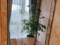 -沪华海鲜大酒楼(南汇店)