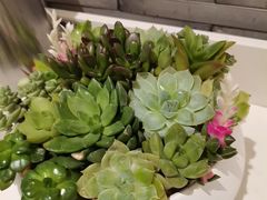 -新雅粤菜馆(南京东路店)