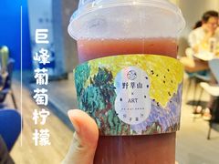 -野萃山·潮汕厚果汁(十亩地店)
