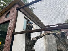 -南昌动物园