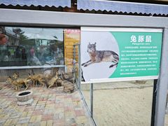 -西霞口神雕山野生动物世界