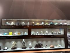 -陕西自然博物馆