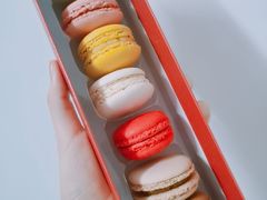 -Le Siècle.百年西餐厅(颐和公馆店)