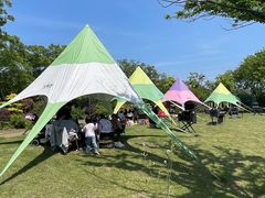 -鹅湖玫瑰文化园
