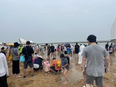 -碧海金沙