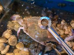 -海玥荟海鲜姿造自助餐厅(欧罗巴广场店)