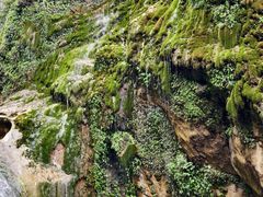 -华蓥山天意谷景区