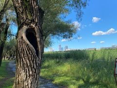 -长春市南湖公园