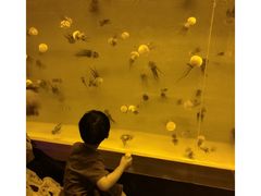 -南京金牛湖风景区