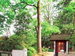 -三鹰之森吉卜力美术馆