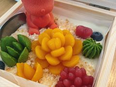 肉肉的抱抱熊-梧桐