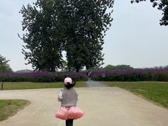 -汉长安城未央宫国家考古遗址公园