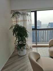-HEYAN荷妍专业脱毛连锁机构