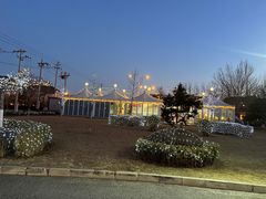 -普兰达德国餐厅·德式脆皮烤猪肘·自酿啤酒(观唐店)