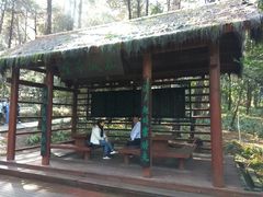 -铁山坪森林公园