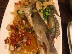 清蒸黄翅鱼-全渔村小海鲜