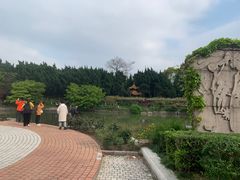 -嘉定紫藤园