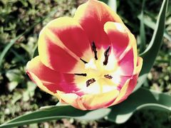 -长春公园(普阳街道)