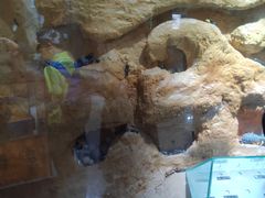 -上海昆虫博物馆