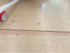 -胖哥俩肉蟹煲(石家庄勒泰中心店)