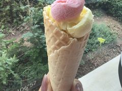 -厦门艾美酒店·新食谱西餐厅