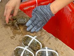 -阳澄湖大闸蟹·琼灵阁牌品牌连锁(吴中总店)