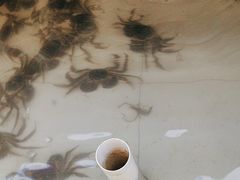 -蟹天蟹地农家菜·阳澄湖大闸蟹(浅水湾店)