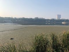 -葛仙湖公园
