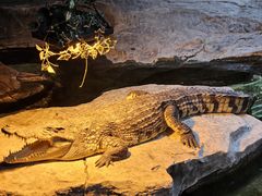 -泉城欧乐堡海洋极地世界