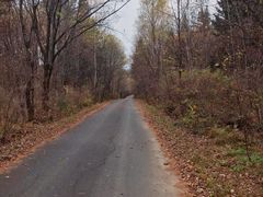 -五营红松林海景区