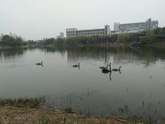 -江南大学(蠡湖校区)