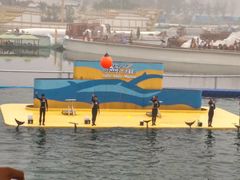 -秦皇岛乐岛海洋王国