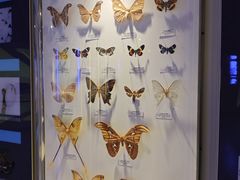 -吉林省自然博物馆