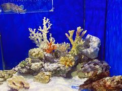 -多彩贵州城极地海洋世界